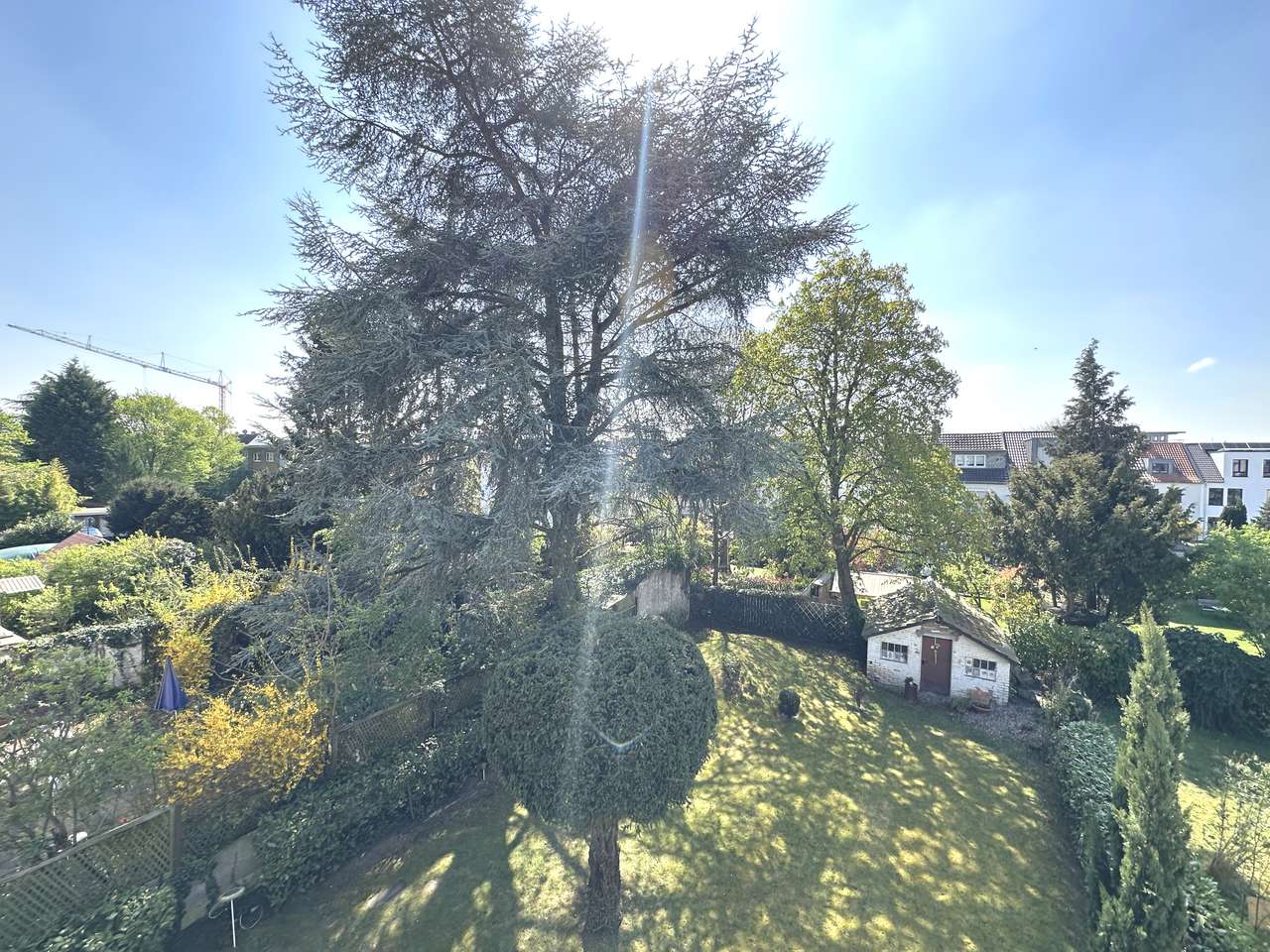 Blick in Garten