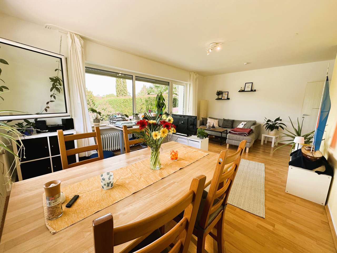 Einliegerwohnung: Wohnzimmer Einliegerwohnung: Wohnzimmer
